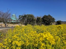 地域の魅力がつまった場所「道の駅」【 とみうら枇杷倶楽部 】