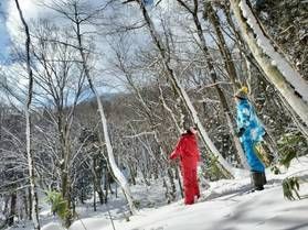 新庄村森林セラピー スノーシューコース