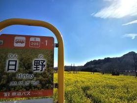 “ひと足早い春”のご褒美時間