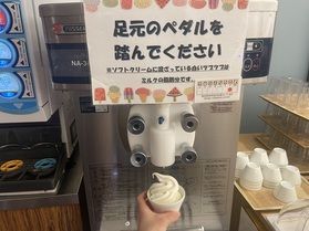 おすすめのソフトアイスアレンジ!
