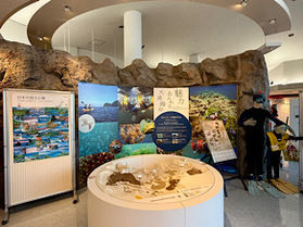 2/16 ~ 3/31まで!『竹野のミニ深海魚展』