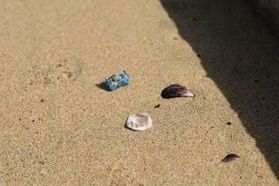 ビーチコーミングで海の落とし物集め
