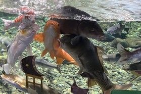 さけのふるさと♪千歳水族館