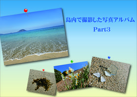 島内で最近撮影した写真をご紹介♪　part3