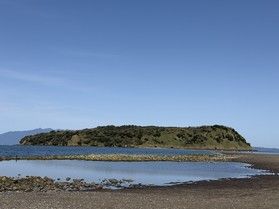 今年初の知林ヶ島へ