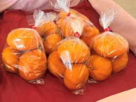 柑橘の販売も行っています!🍊