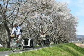 【イベント情報】桜×スイーツ散走