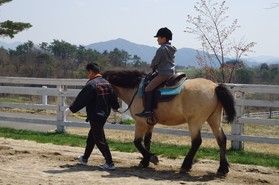 蒜山ホースパークで馬たちと触れ合ってみませんか?
