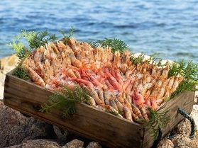 エビ好きにはたまらな~い♪春の人気グルメ”地海老”
