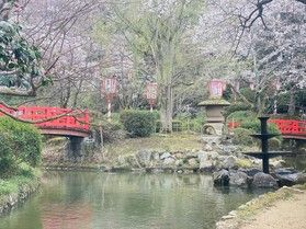 倉吉打吹公園ライトアップ3月19日から!