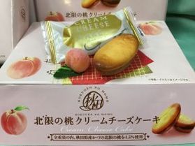 春の新入荷商品をご紹介♪