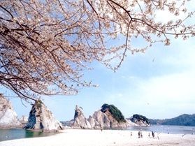 休暇村陸中宮古周辺 桜スポット紹介