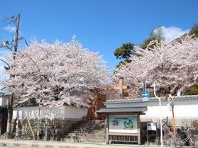 3月下旬から見頃を迎える「新宮城跡」