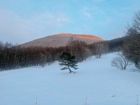 最近の嬬恋鹿沢！