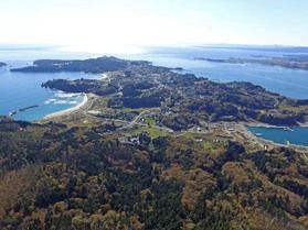 大島最大級のイベント 気仙沼つばきマラソン