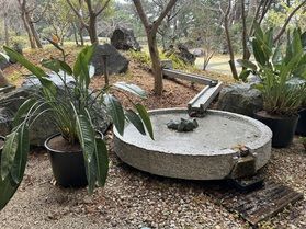 園地の植物たち