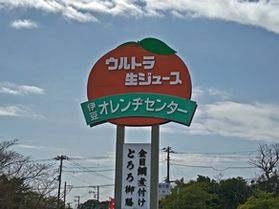 美味し～いみかんジュースを求めて