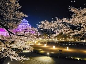 しあわせの風ふくしま【春】