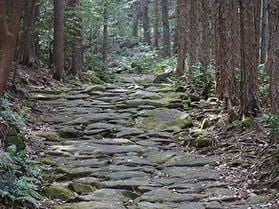 馬越峠　～熊野古道・伊勢路のハイライト～