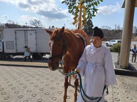 春の到来を告げるまつり「おいで祭り」