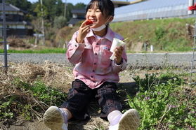 期間限定!今だけのいちご狩りは4/24まで!