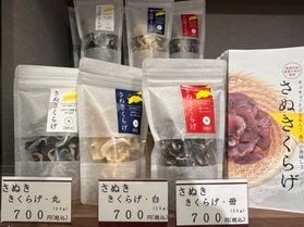 香川の特産品「さぬききくらげ」