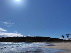 春の小田の浜海水浴場
