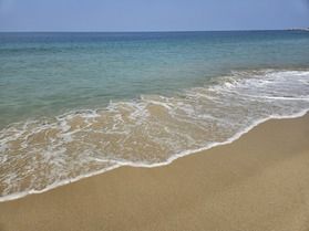 島内で最近撮影した写真をご紹介♪ part4