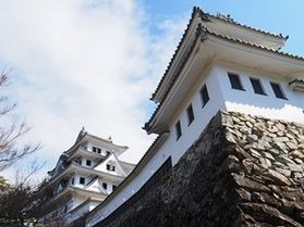 【岐阜観光ー日本の城】郡上八幡城に行ってきました!