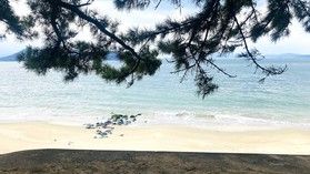 4月のオフピークのご案内