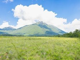 まもなく雪解け!~奥日光の春を彩る花々~