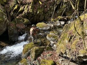 渓流釣りシーズン開幕です!