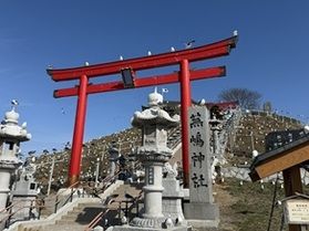 【八戸】今年もウミネコ観察の季節！