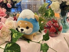 静岡グルメフェア　ご当地メニュー解説