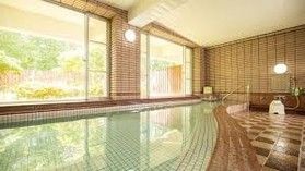 陸中宮古のラジウム人工泉