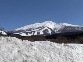 春めいてきました♪