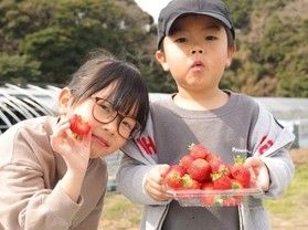日帰りでいちご狩りを楽しもう!