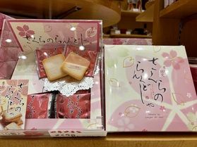 売店の新商品紹介🌸