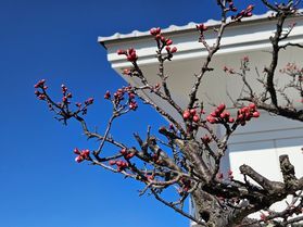 季節の移り変わり、飯綱山公園