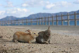 4月からもオフピーク旅開催します!!