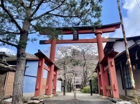 我野神社の桜🌸が咲き始めています！
