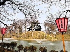 高田城址公園開花状況について
