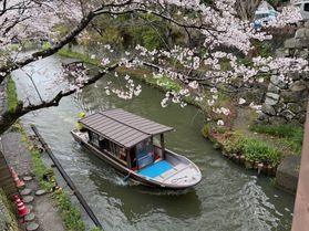 八幡堀散策🌸