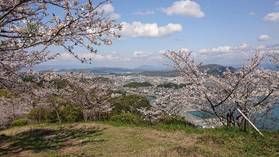 360度のパノラマ絶景!和歌山市を一望!