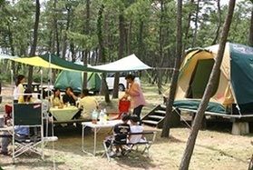 キャンプ場がオープンしています！