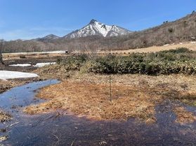 雪解けの奥大山