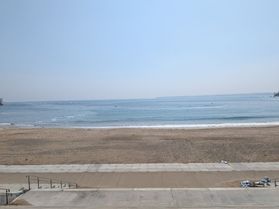 春の散歩道「大谷海岸」
