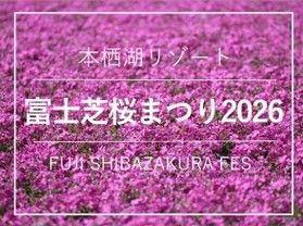 【4月11日より】富士芝桜まつりがいよいよ開幕!