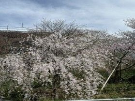 癒しのひととき