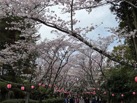 公渕森公園